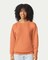 Comfort Colors® Garment Dyed Lightweight Fleece Crewneck Sweatshirt